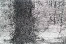 20151218_134355