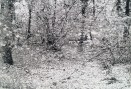20151218_134406