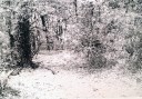20151218_134421